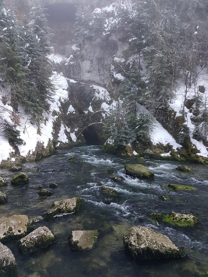 Le Chalet De La Source Mouthe Dış mekan fotoğraf